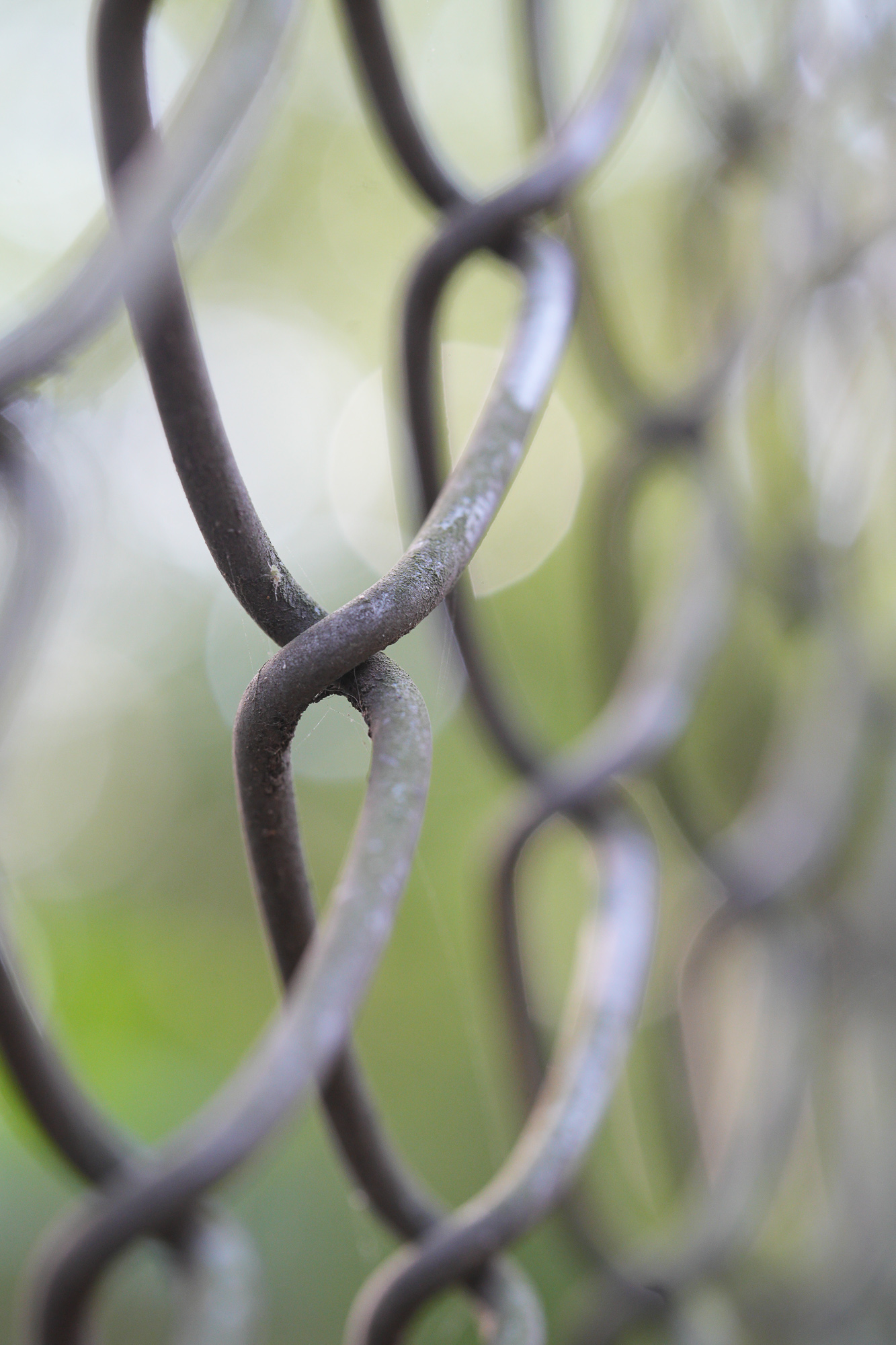 Obiektyw Laowa 100 mm f/2,8 Tilt-Shift 1x Macro do Nikon Z